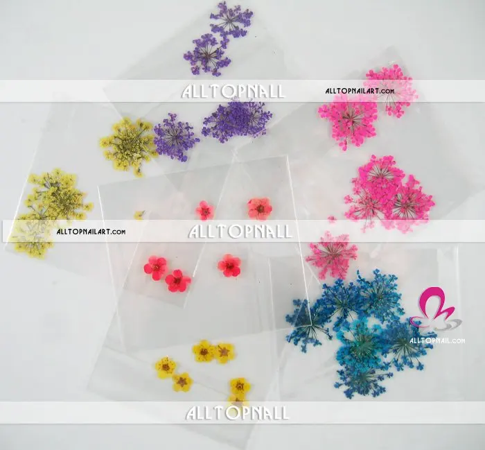 

Freeshipping- mix styles nail art dried flowers for nail art decoration 300 packs / lot