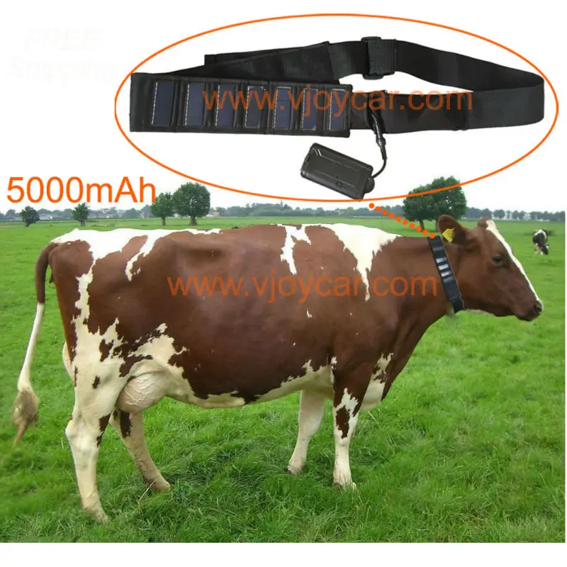 VJOYCAR Solar GPS Tracker Collar Waterproof Real Time gps Locator For Large Pet leather GSM GPS Cow Rastreador Tracking Software VJOYCAR Solar GPS Tracker Collar Waterproof Real Time gps Locator For Large Pet leather GSM GPS Cow Rastreador Tracking Software