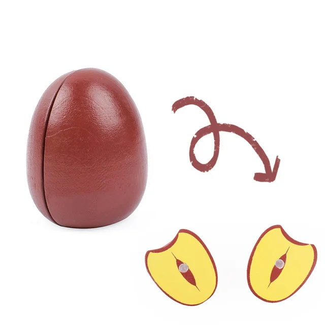[Toy Woo] Wooden Cutting Kitchen Toy Pretend Play Fruit Vegetable Baby Educational Food Toys Children's Kitchen Play Gifts Jujube