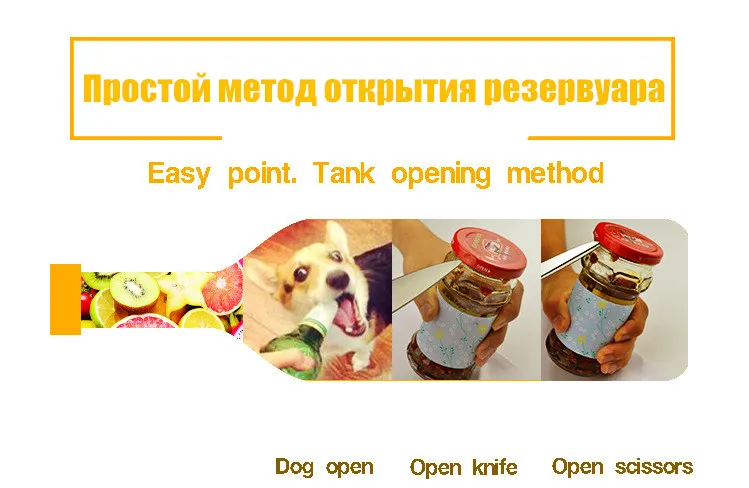 8430313808_752036824