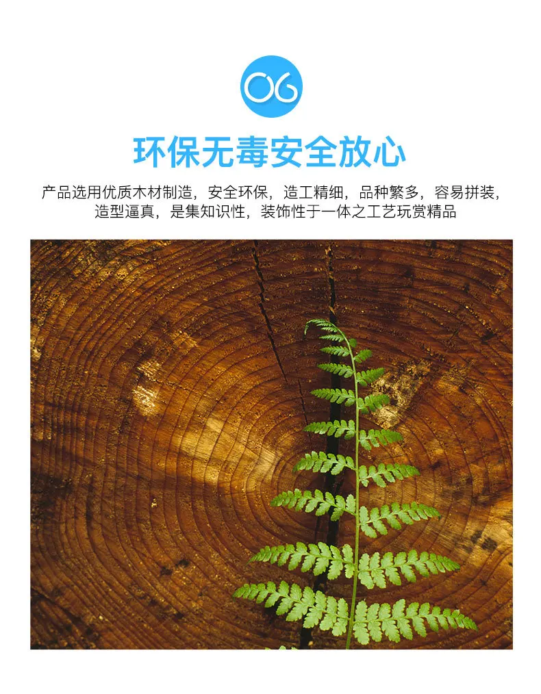梦想号2_09.jpg