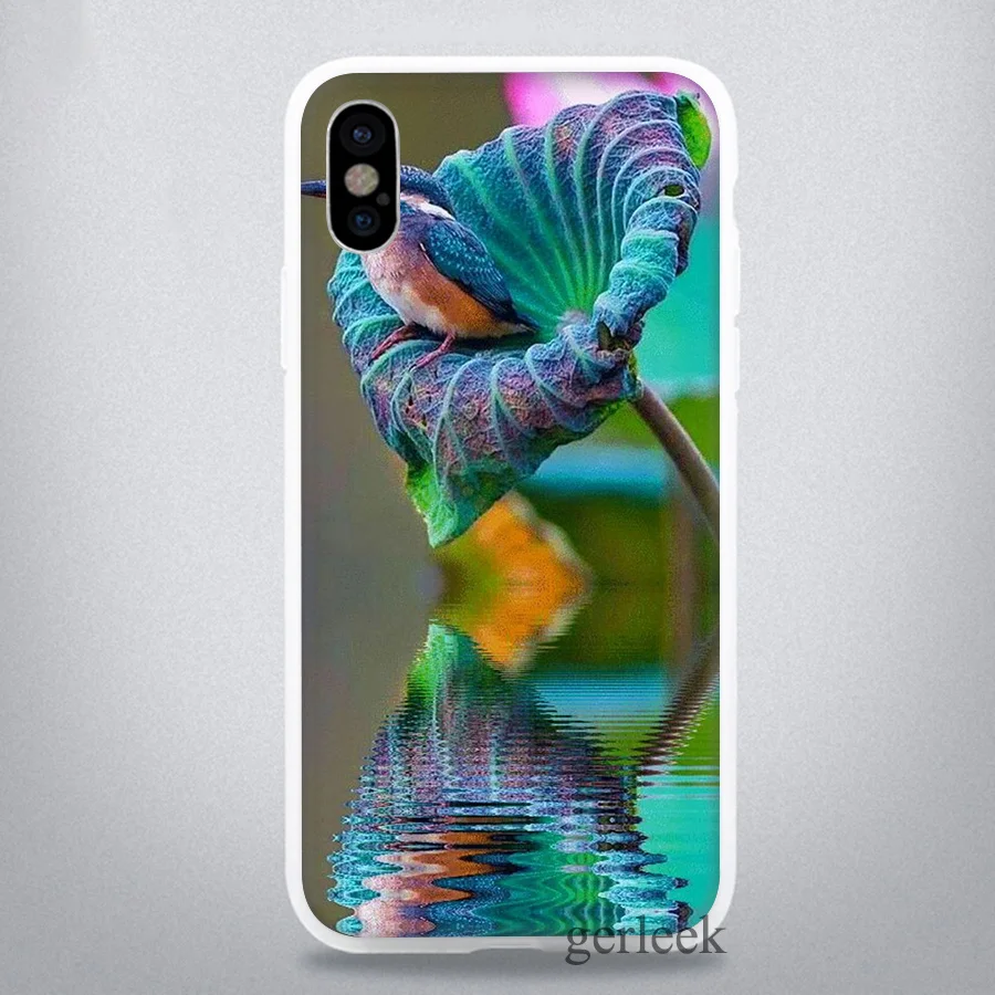 Чехол для телефона с изображением животных птиц попугаев iPhone 11 Pro 5 5S SE 6 6S 7 8 Plus X XR XS
