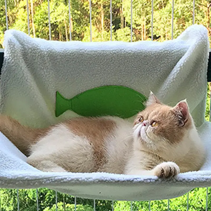 Красивое животное висит окно Гора Кошка Pet Гамак Солнечный сидит кошка кровати
