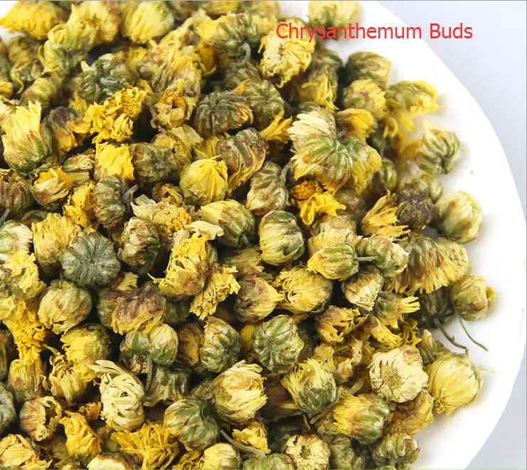 Chrysanthemum Buds