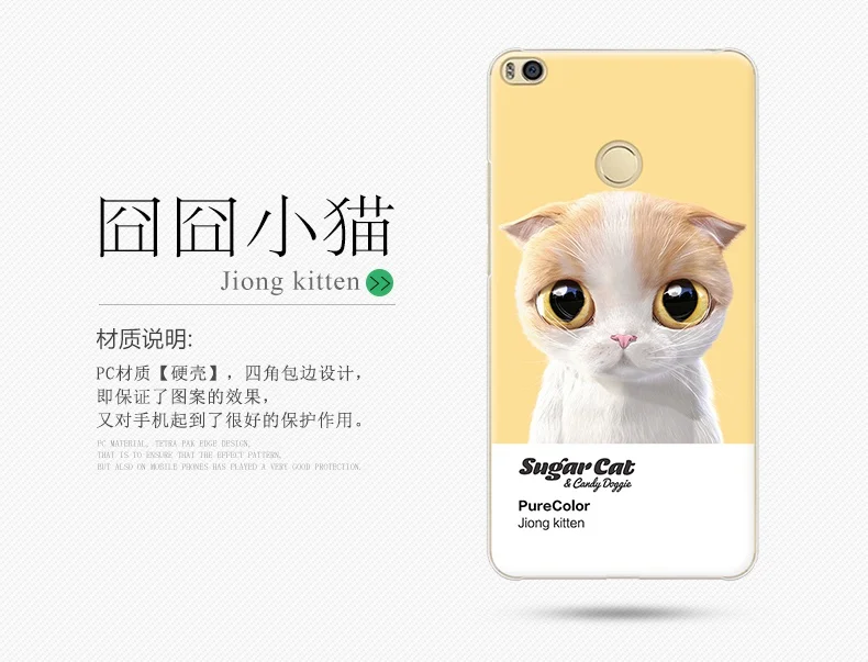 20170717_145137_1174