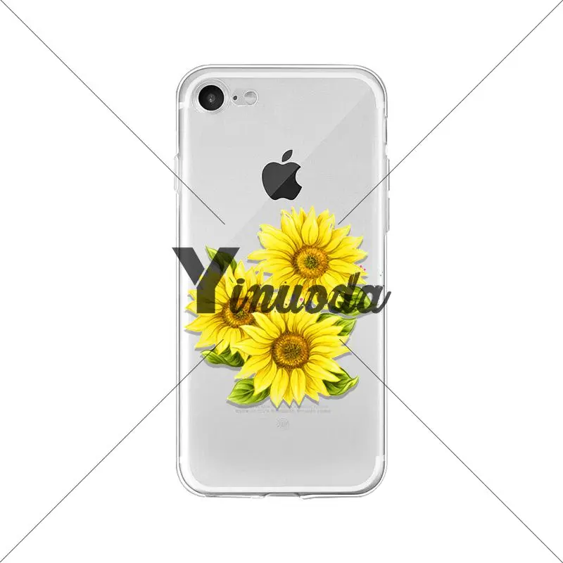 Flower sunflower