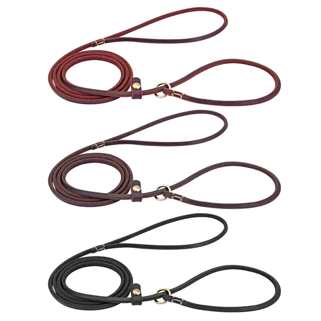 4ft/5ft Leather Dog Leash P Chian Collar Traction Lead Rope For Chihuahua Bulldog Small Dogs Leashes Slip Collars Pet Supplies 2