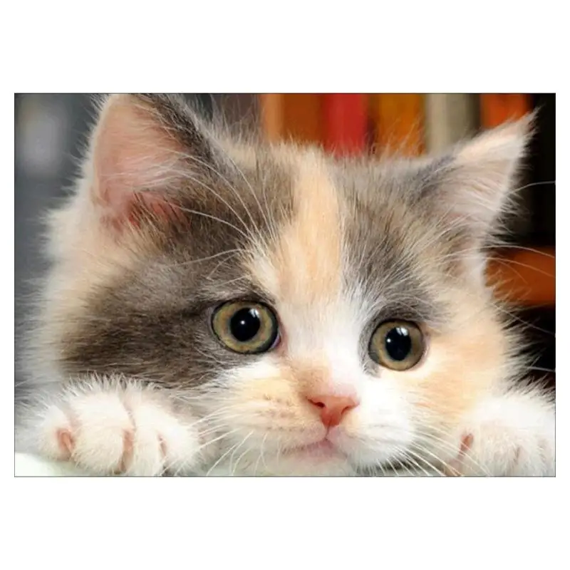 

5D DIY Full Drill Diamond Painting Cute Cat Kitten Cross Stitch Embroidery Mosaic Wall Painting Picture for Home Decoration Accs
