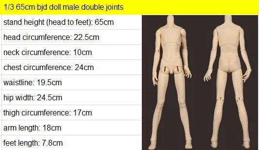65cm male