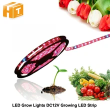 LED Plant Grow Lights 5050 LED Strip DC12V Red Blue 3:1 4:1 5:1 for Greenhouse Hydroponic Plant Growing 5m/lot