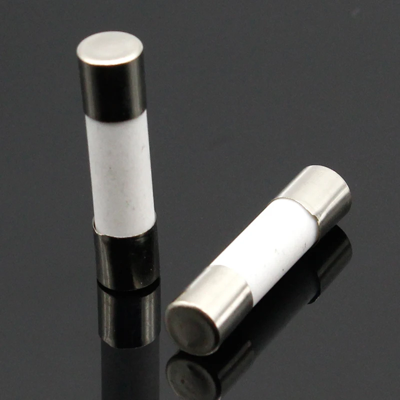 Ceramic Fuse 100pcs Ceramic Fuse 5mm x 20mm Slow Blow T 1A-250V