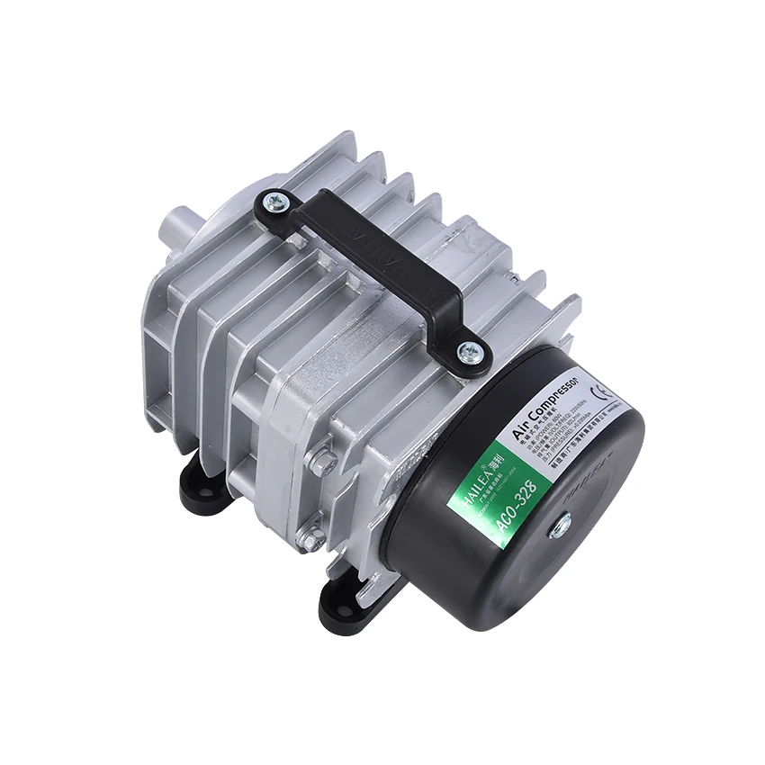 DSC_0020