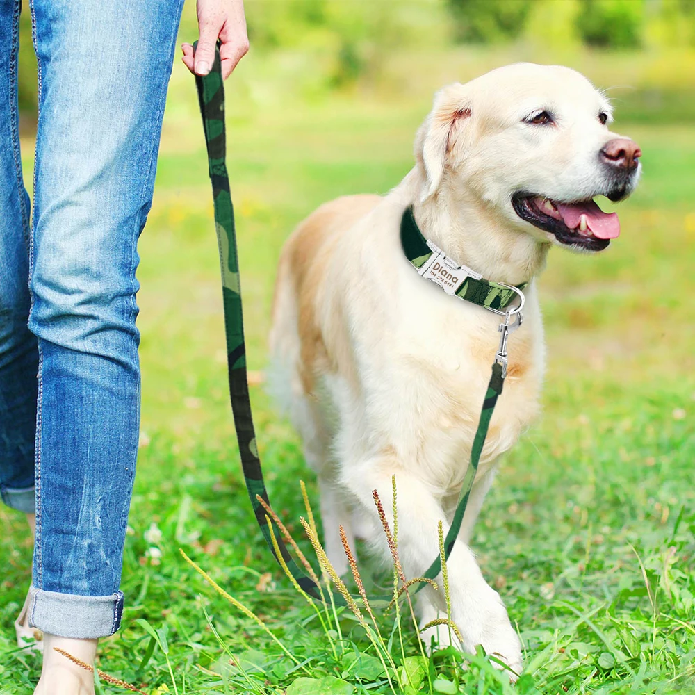 Personalized Print Collar for Dog