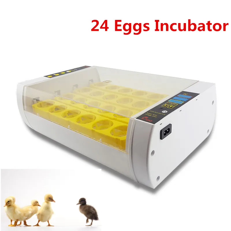 

Mini Capacity 24 eggs hatching machine household automatic egg incubator industrial for chick incubator machine