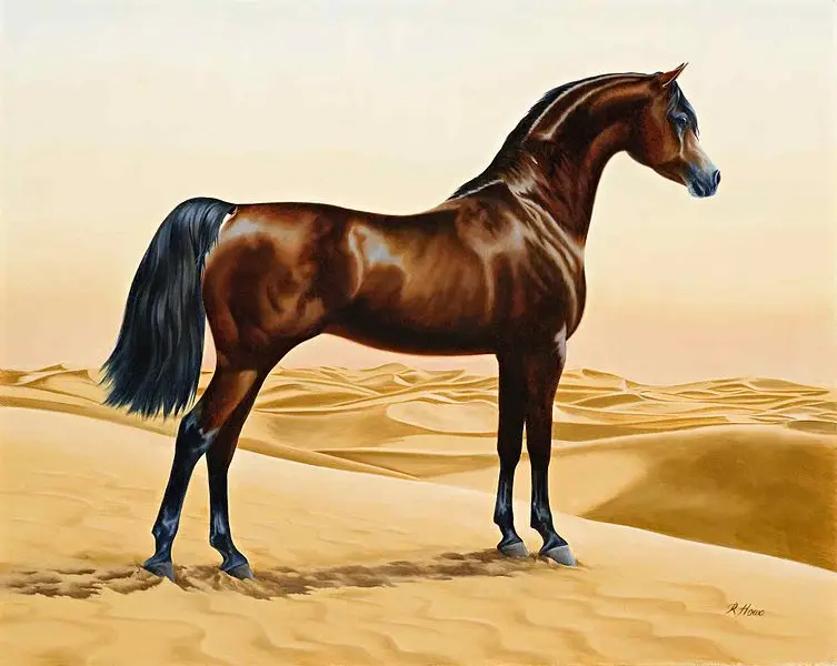 

HOME OFFICE wall Decorative art Middle East Arab horse painting animal by William Barraud, 1844 print art painting
