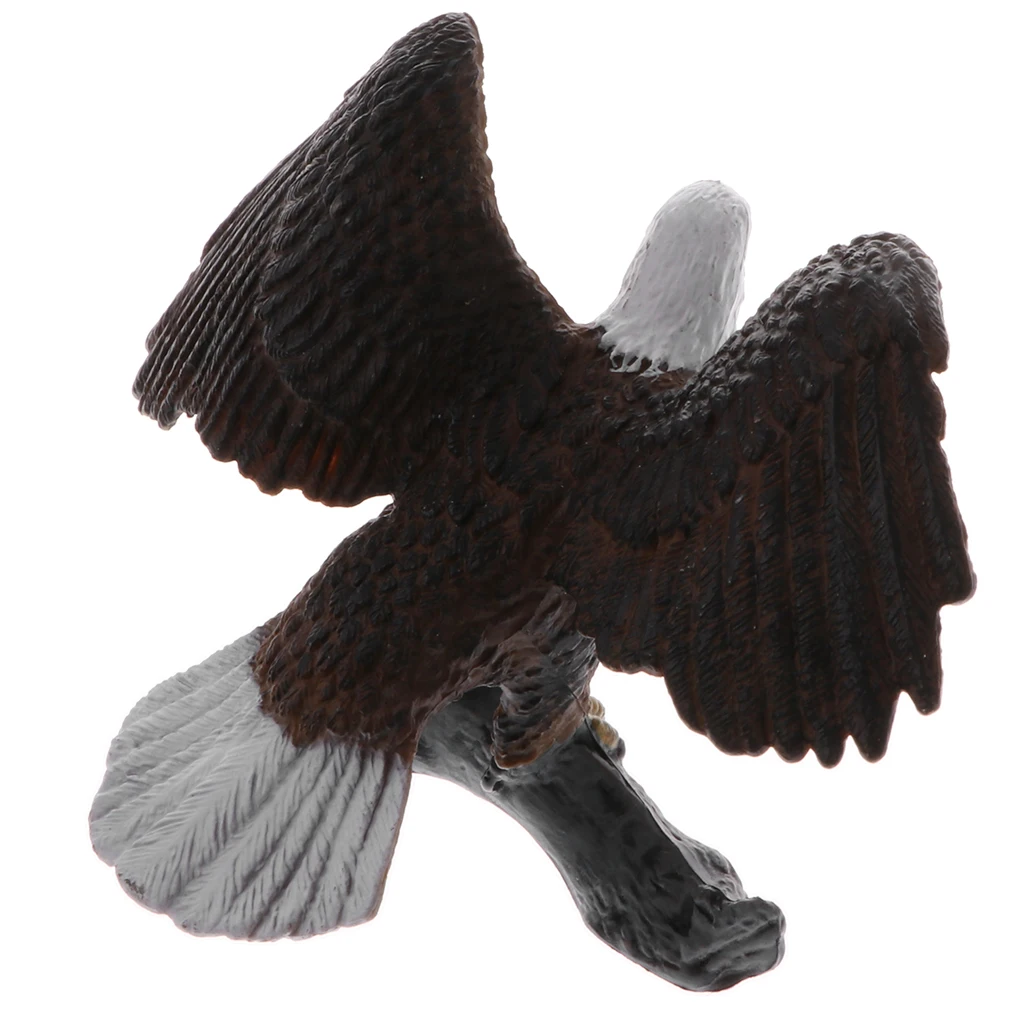 Plastic Realistic Wildlife Jungle Forest Animals Bald Eagle Action Figure Toys Kids Toddler Nature Toys Home Decor Collectibles