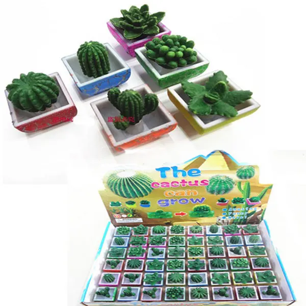 48pcs Free shipping Growing Toys Expansion foam big green cactus plants