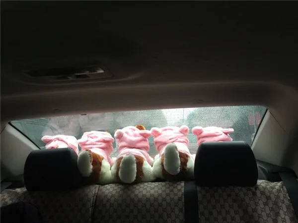 Cute Pomeranian Dog Plush Toys 4 sizes - Buyers Show 10
