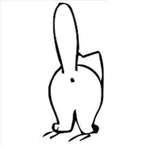 Y***v