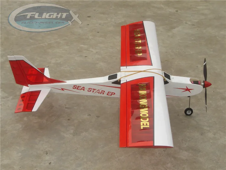 sky fly rc plane