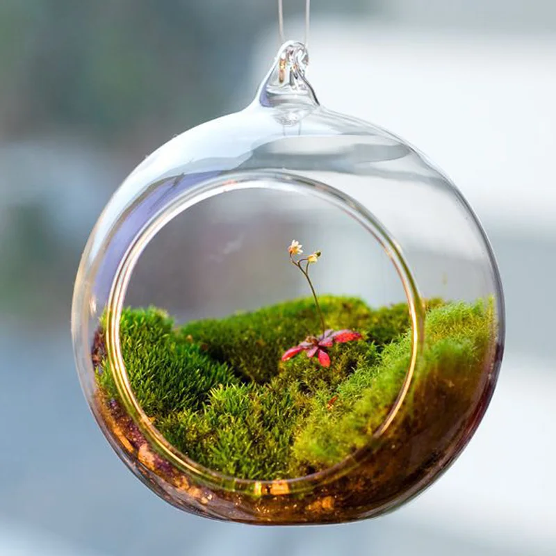 Terrarium Ball Globe Shape Clear Hanging Glass Vase Flower Plants Terrarium Container Micro