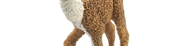 -10--DW-M-MY89-114-120_58