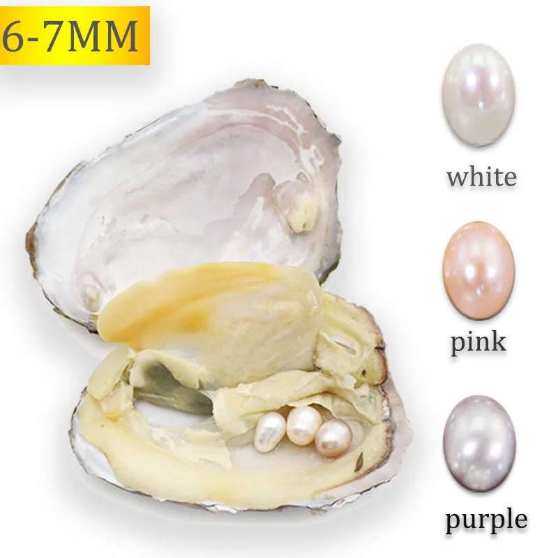 6 7MM Single Pearls in Freshwater Oysters AAA Oval Pearls Oysters