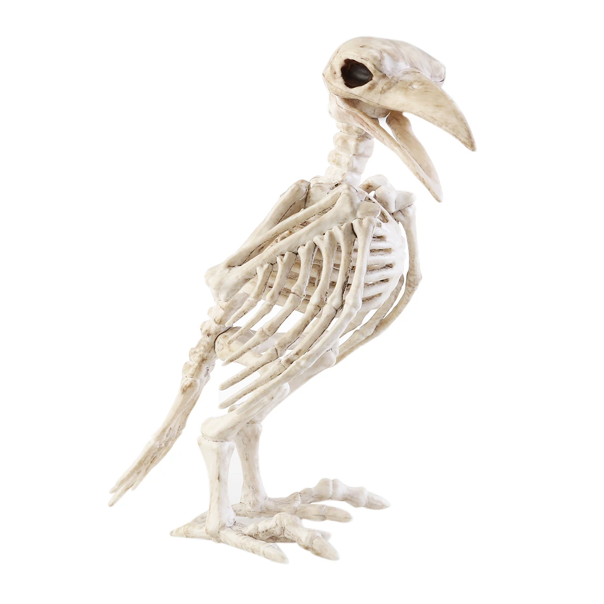 Online Get Cheap Plastic Skeleton Alibaba Group