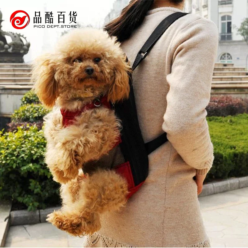 porte bebe chien