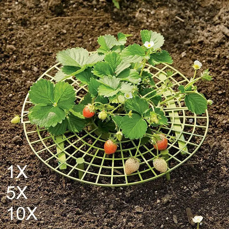 1/5/10Pcs Strawberry Support Elevated Cage Ground Stand Avoid Rot Garden Protect 