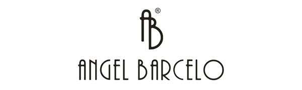 The Angel Barcelo Womens Handbag