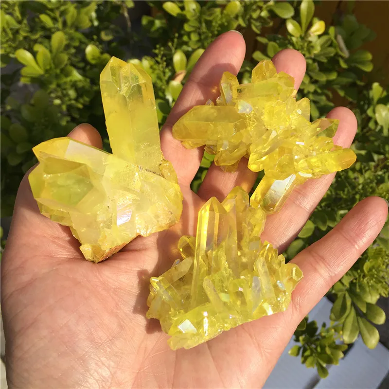 1901 (2)