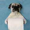 Bathroom Fixtures