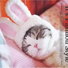 Прекрасный Pet кролик головной убор костюм теплый шляпа специальный день косплэй интимные аксессуары реквизит для фотосессии головные уборы