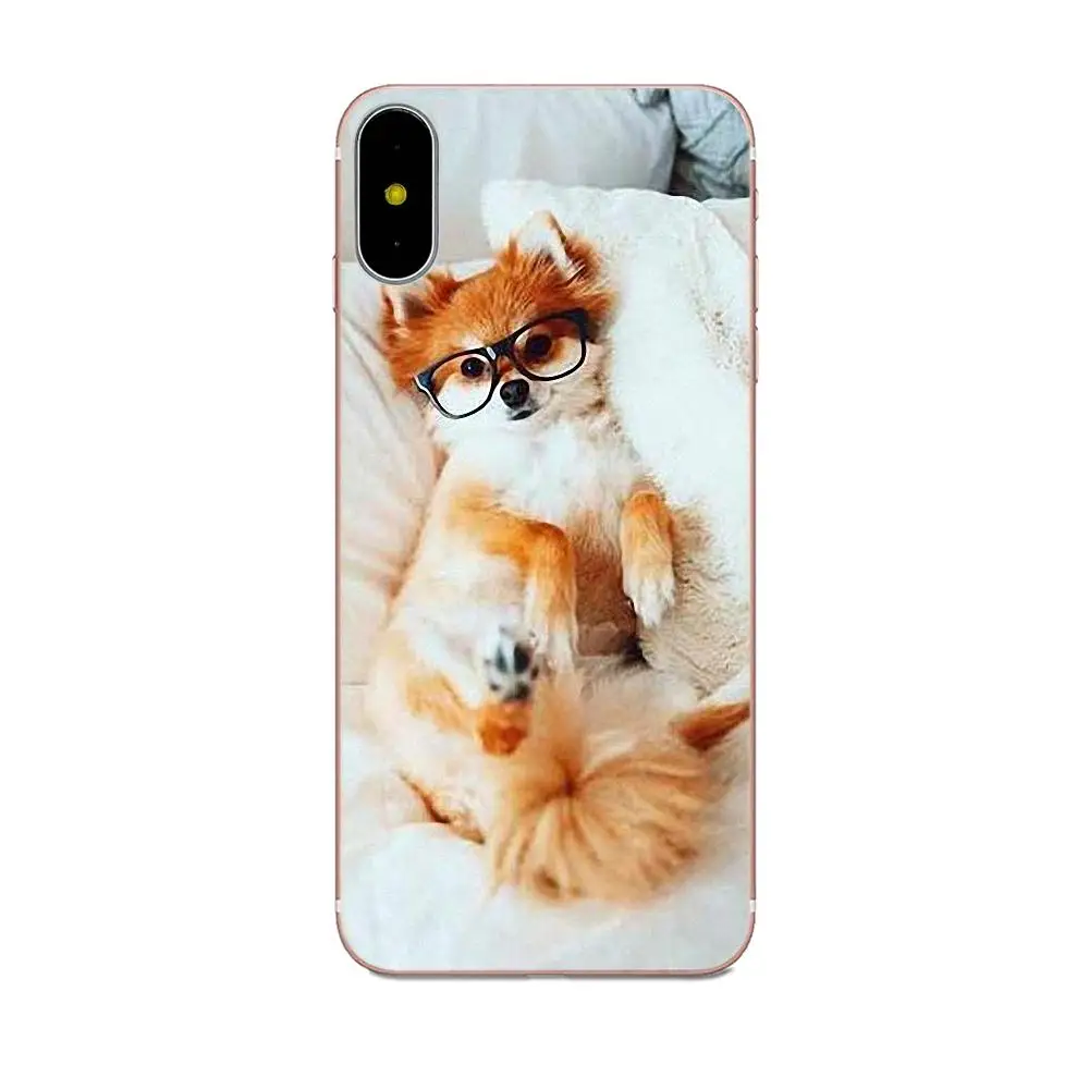 Цветной постер для Sony Xperia Z Z1 Z2 Z3 Z4 Z5 compact Mini M2 M4 M5 T3 E3 E5 XA XA1 XZ Premium Pomeranian Dogs