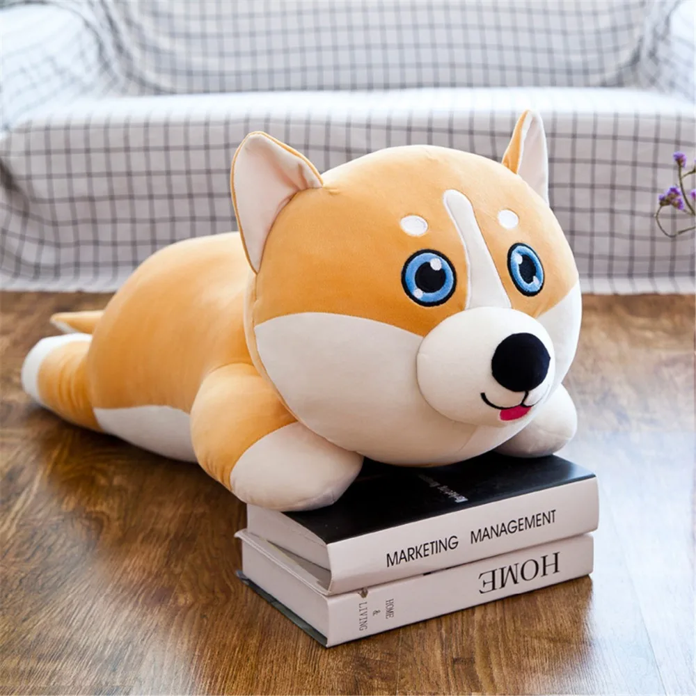 9215323541_1489215966