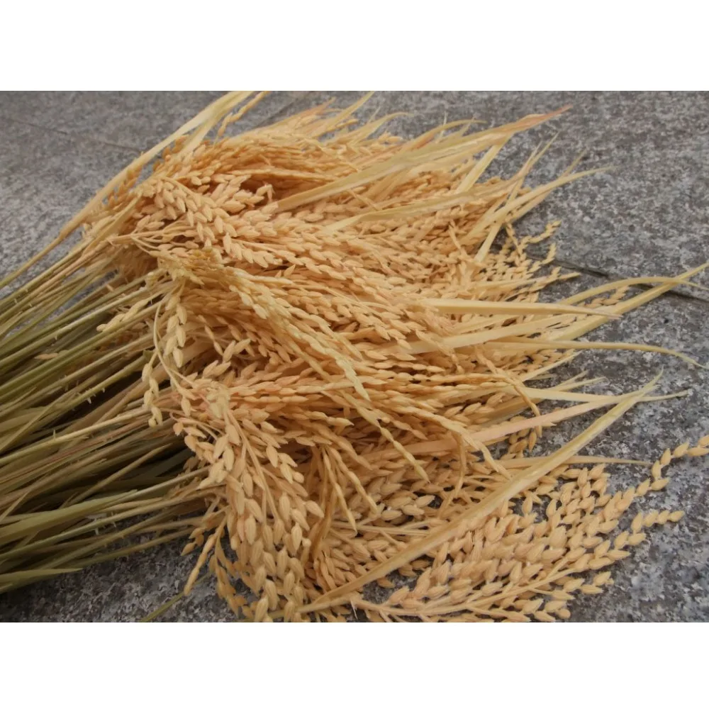 

Artificial Wheat Rice Plastic Flower Branches Home Shop Decor Photography Props Accessories