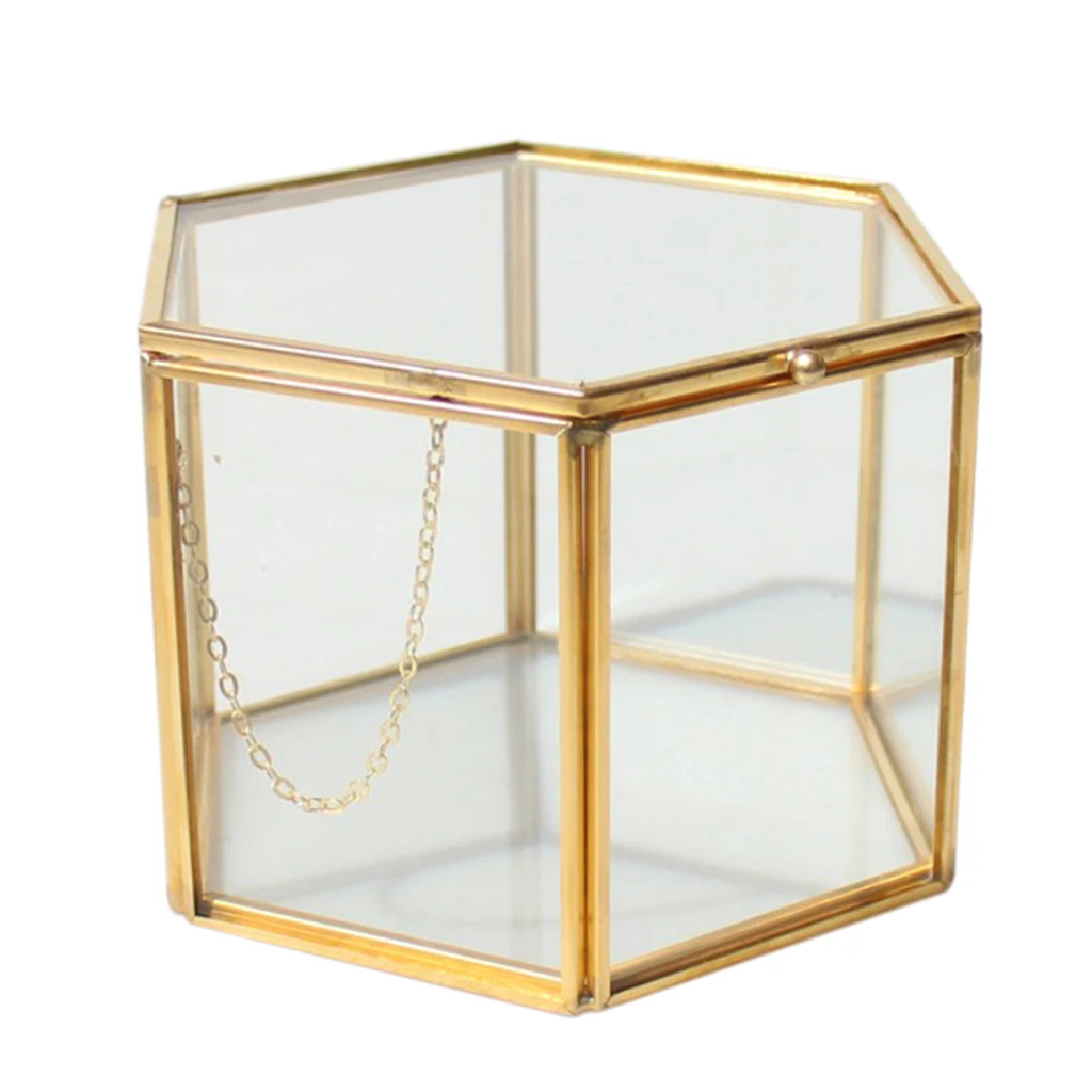 Modern Hexagon Clear Glass Brass Geometric Terrarium Fern Moss Air Plant Display Case Art Home Garden Decor