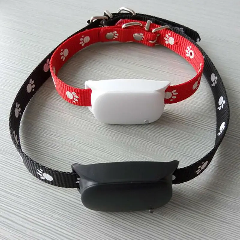 pet-tracker-1c