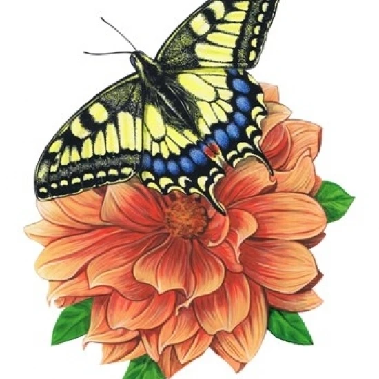 Yellow Swallowtail Butterfly II Poster Print by Marilyn Barkhouse (18 x 23)