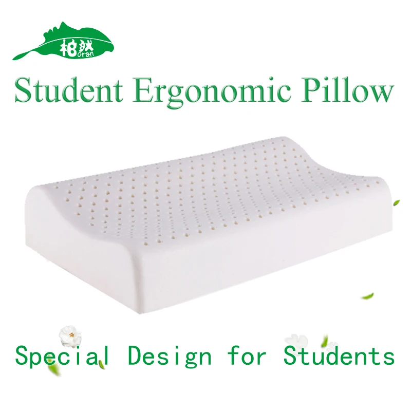 Latex Students Pillow Z Mid Loft Dunlop Premium Ventilated Latex