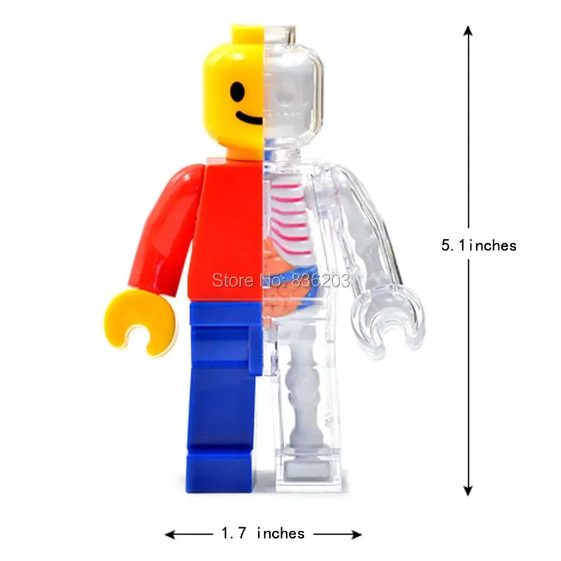 51-YjrbIn6L._SL1000_