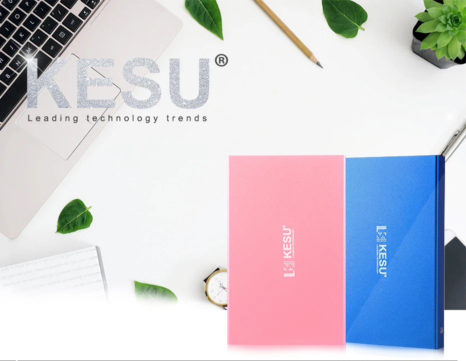 KESU внешний жесткий диск с логотипом на заказ HDD USB2.0 60g 160g 250g 320g 500g 1 TB 2 ТБ HDD для ПК Mac Tablet tv