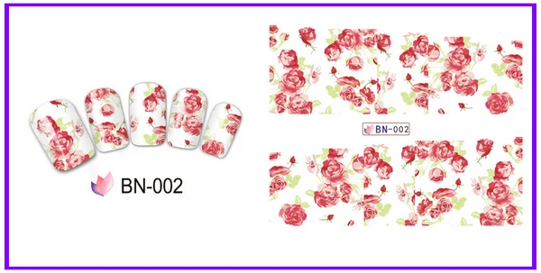 BN-002