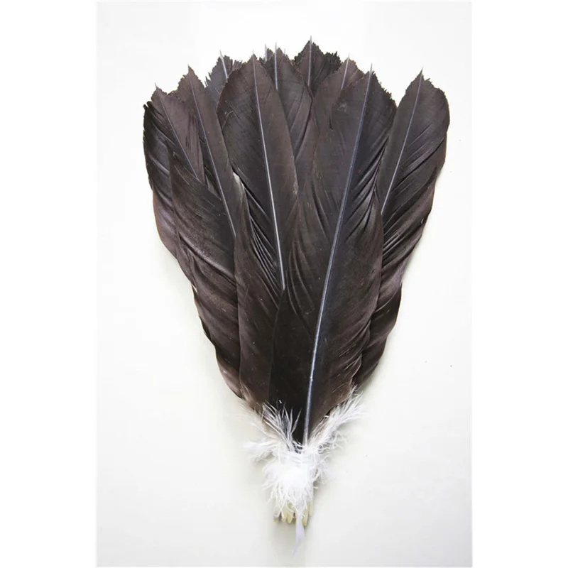 Diy Natural Rare Pheasant Feather Tail 10-16inch//25-40cm 10 Pcs Carnival Costume