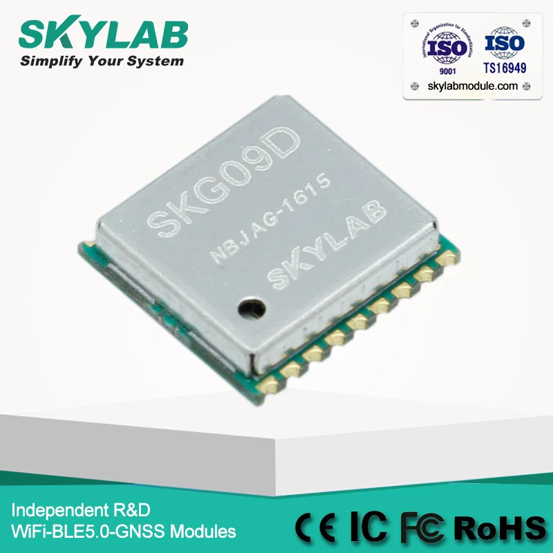 SKG09D-1 (3)