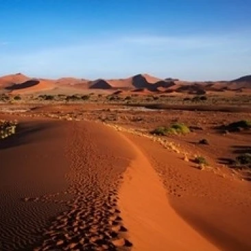 Sand dune  near Sossusvlei  Namib-Naukluft NP  Namibia  Africa. Poster Print by David Wall (19 x 12)