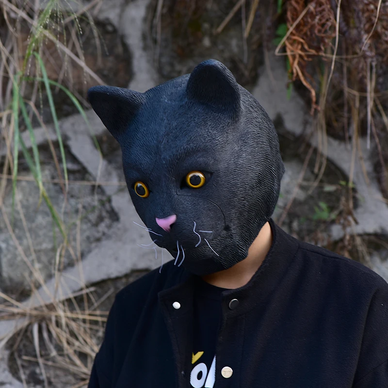 DSC_0334