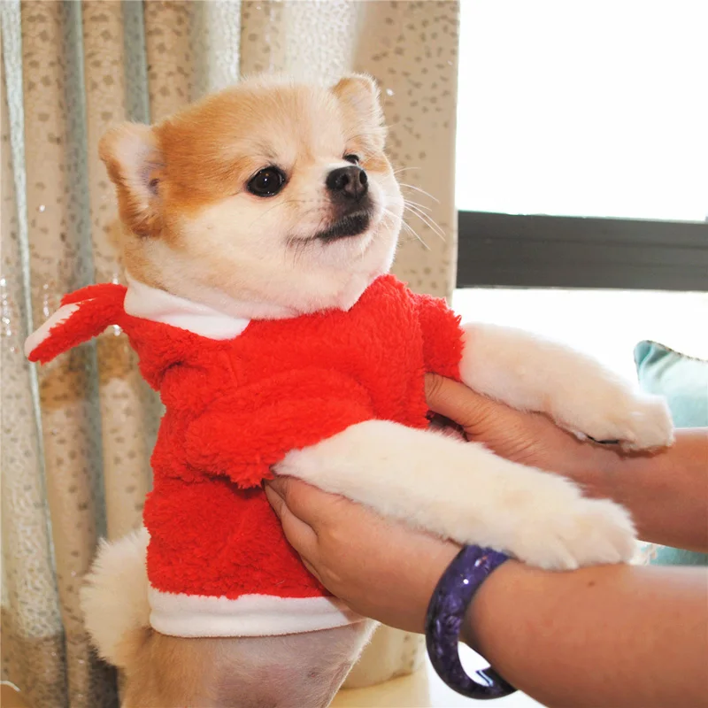 Одежда для собак, утолщенная теплая куртка для маленьких собак, милый костюм для собак, зимний костюм для щенков, Мопсов, чихуахуа, 25