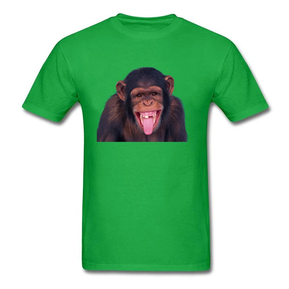 PNGPIX-COM-Monkey-PNG-Transparent-Image_green